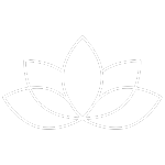 iconos 5